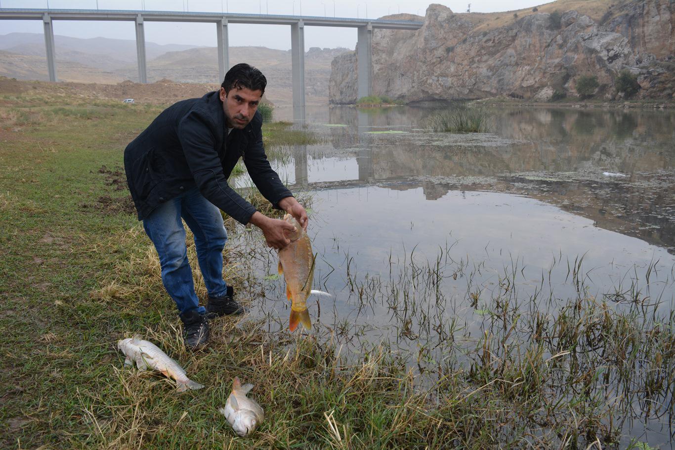 Dicle Nehri'nde zehirli yem ile balık avı iddiası Dicle Nehri'nde zehirli yem ile balık avı iddiası